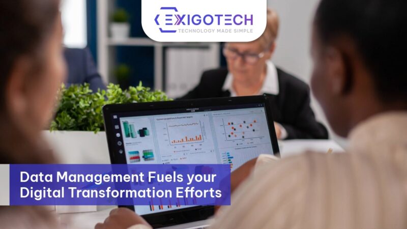 Data Management Fuels your Digital Transformation Efforts - Exigo Tech Blog Feature Image
