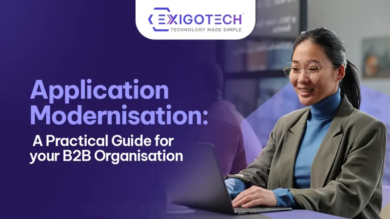 Application Modernisation: A Practical Guide for your B2B Organisation - Blog featured image for website