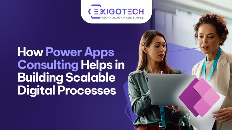 How Power Apps Consulting Helps in Building Scalable Digital Processes - Blog featured image for website