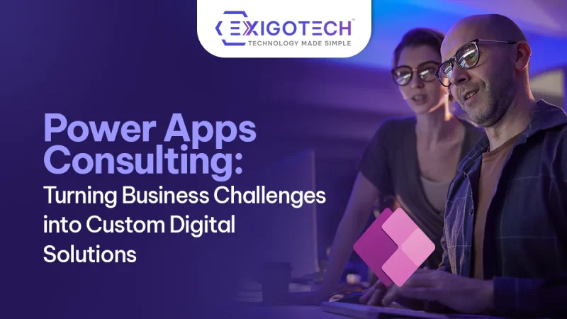 Power Apps Consulting: Turning Business Challenges into Custom Digital Solutions - Blog featured image for website