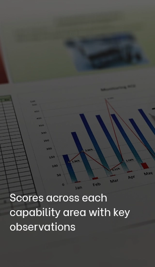 Scores across each capability area with key observations - For Mobile version Scores across each capability area with key observations - For Mobile version
