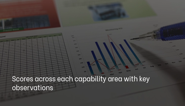 Scores across each capability area with key observations Scores across each capability area with key observations